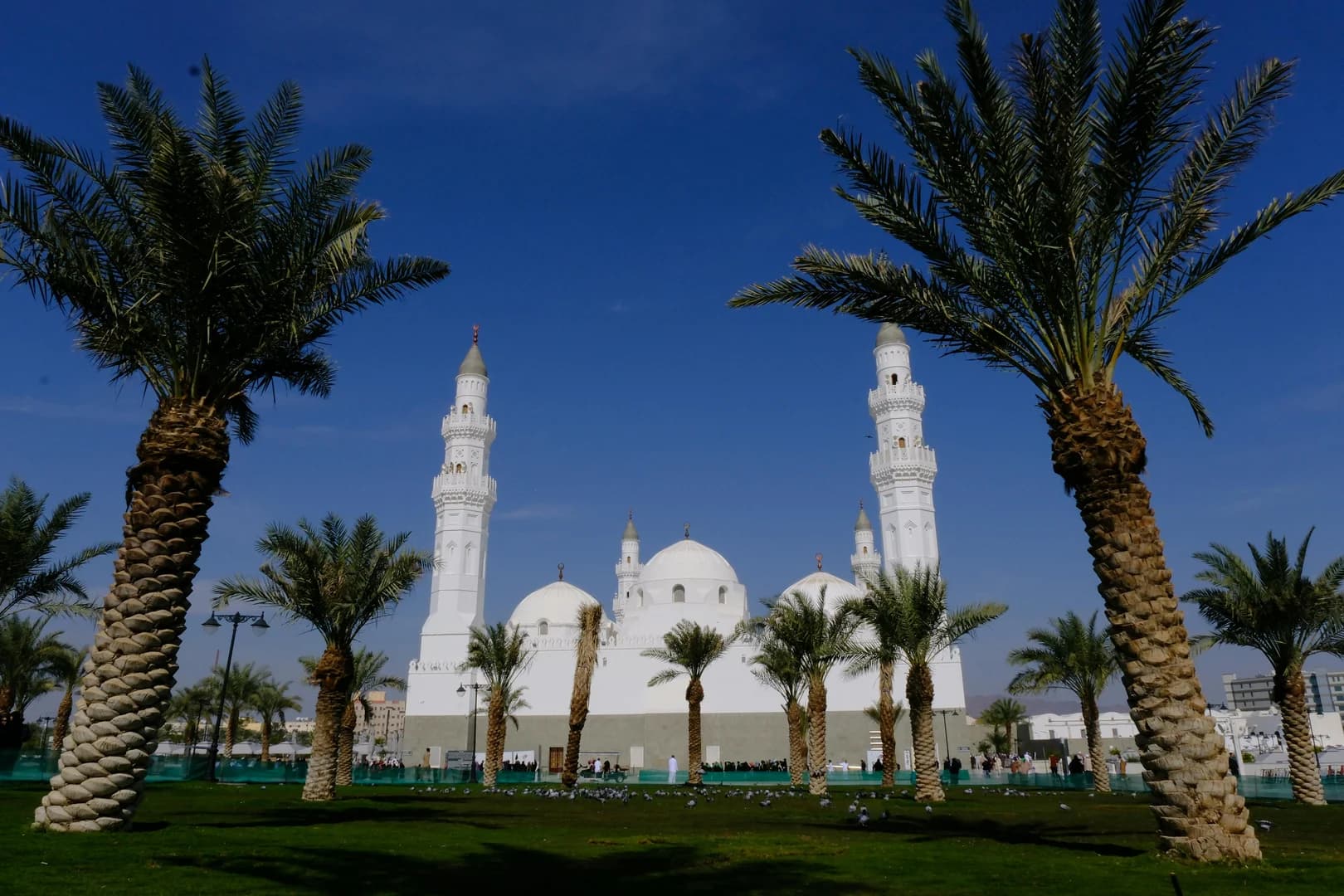 Gulf Cooperation Council (GCC Nedir?) - Arap Yarımadasında Vizesiz Seyahat Şansı