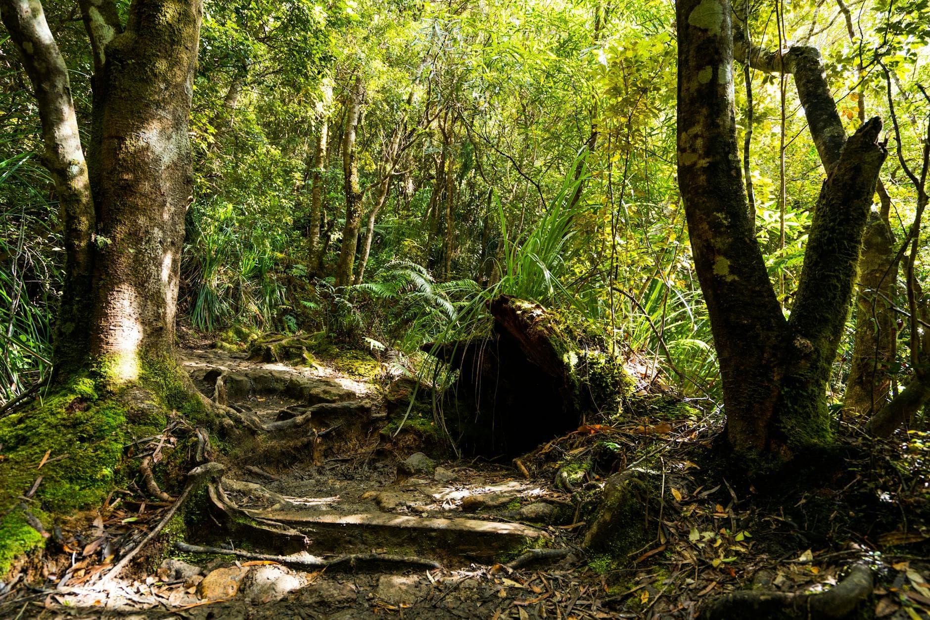 Yeni Kaledonya mı Yoksa Fiji mi? Hangisi Daha İyi? - Yeni Kaledonya ve Fiji arasındaki farkları karşılaştırarak hangisinin seyahat için daha iyi bir seçenek olduğunu öğrenin.