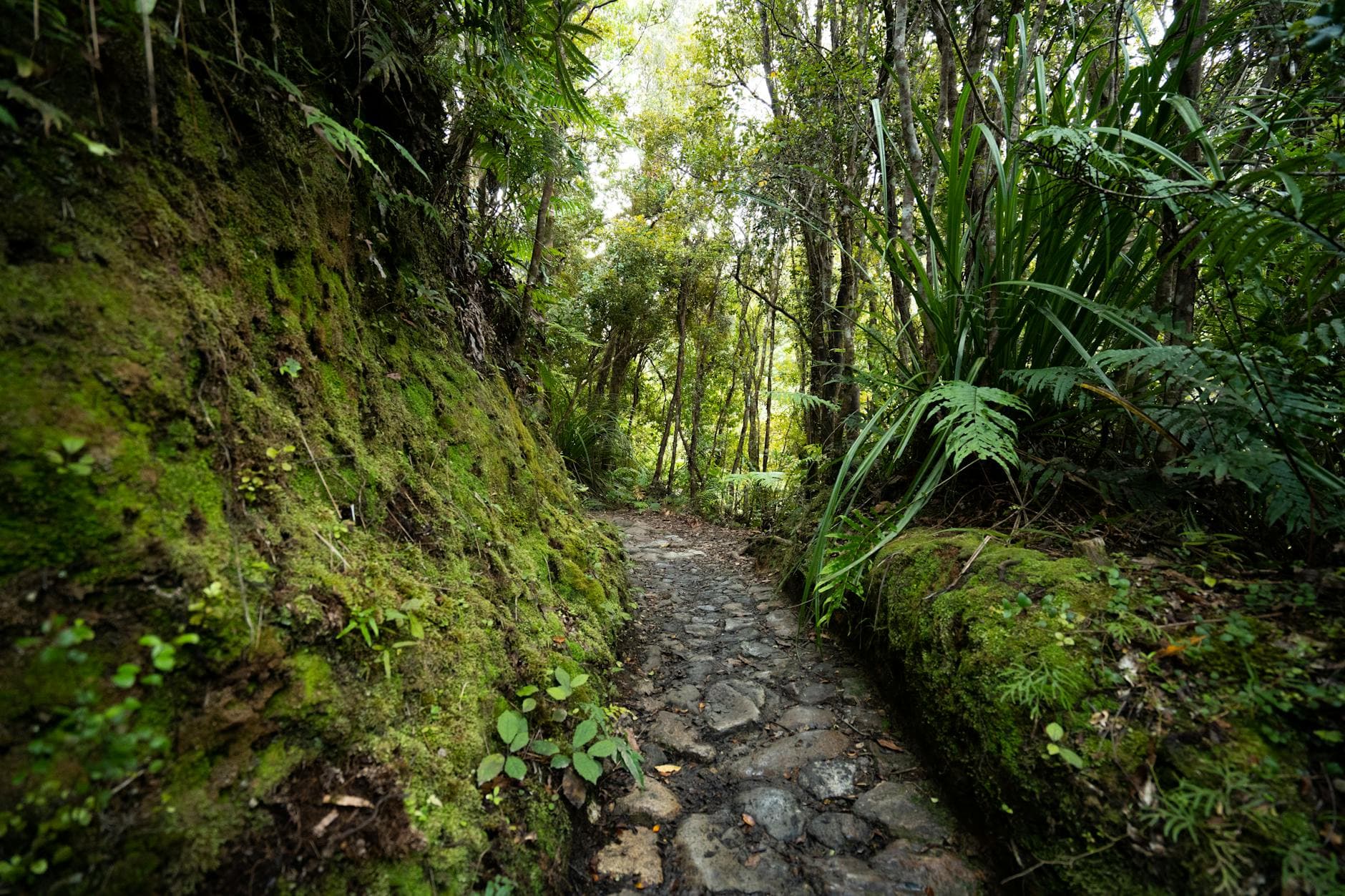 Yeni Kaledonya'da Mutlaka Görülmesi Gereken Yerler - Yeni Kaledonya'da keşfedilecek en popüler turistik yerlerin listesi.