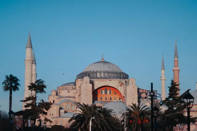 Hagia Sophia's dome and minarets behind palm trees