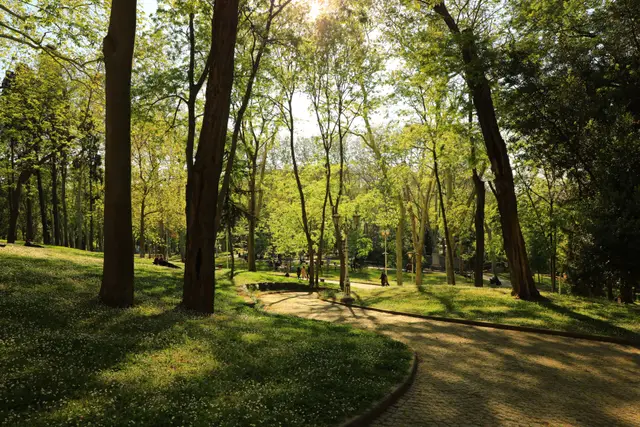 A footpath winding between the trees of Gülhane Park